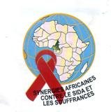 Synergies Africaines